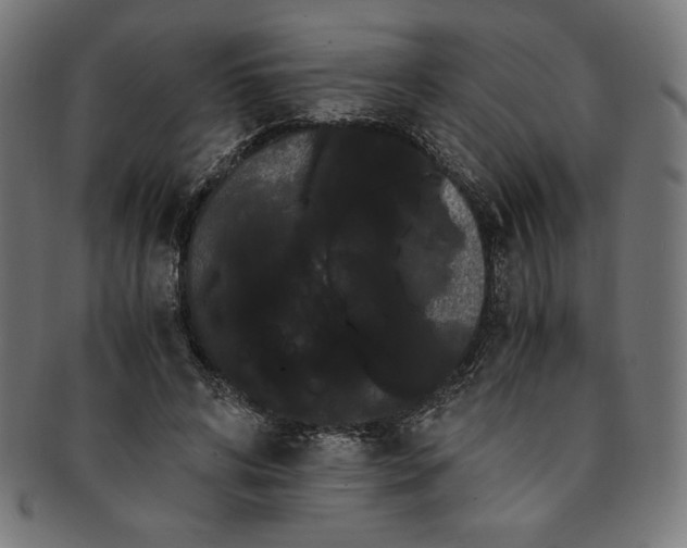 X0000091200592200709061415
