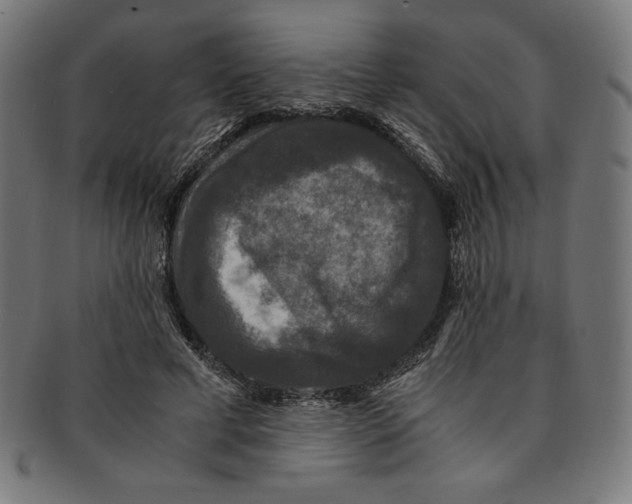 X0000091200593200709061415