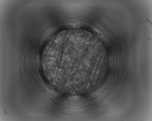 X0000091200594200709061415