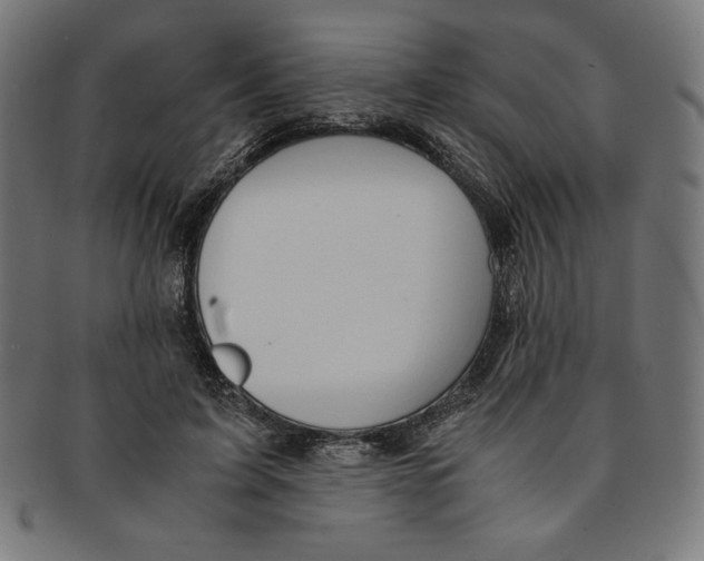X0000091200595200709061415