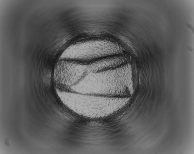 X0000091200596200709061415