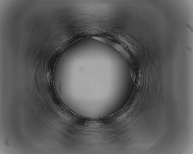 X0000091200597200709061415