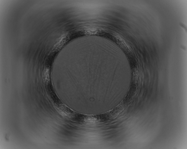 X0000091200598200709061415