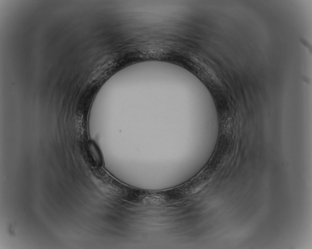 X0000091200599200709061415