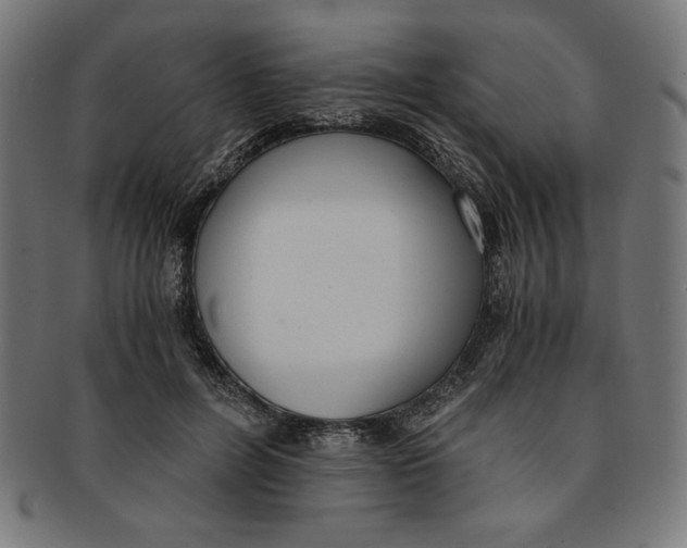 X0000091200600200709061415