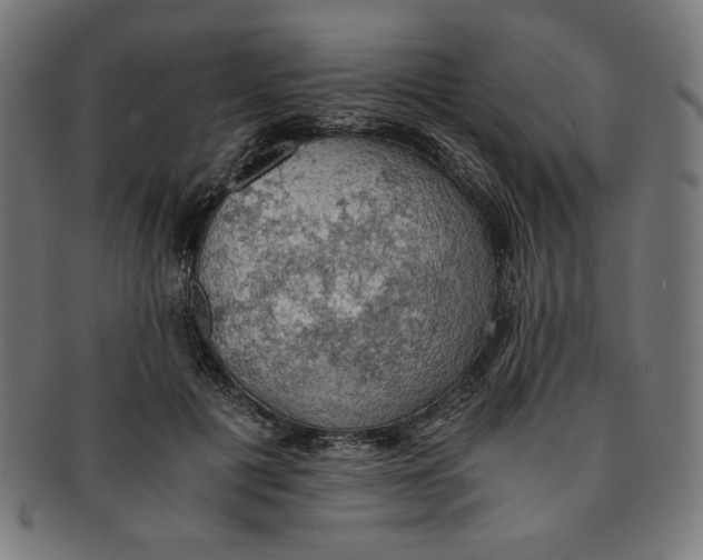 X0000091200601200709061415