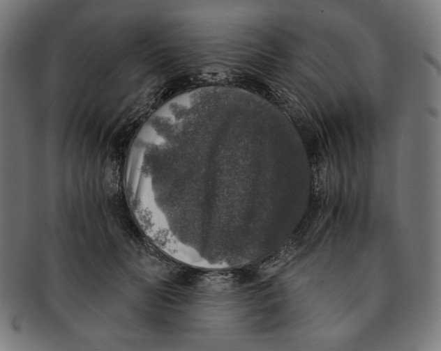 X0000091200606200709061415
