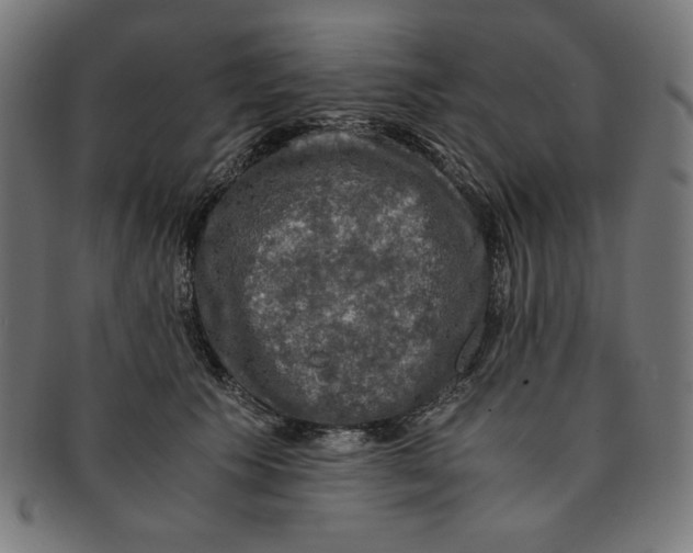 X0000091200609200709061415