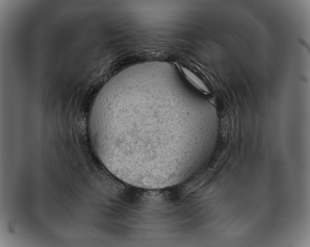 X0000091200613200709061414