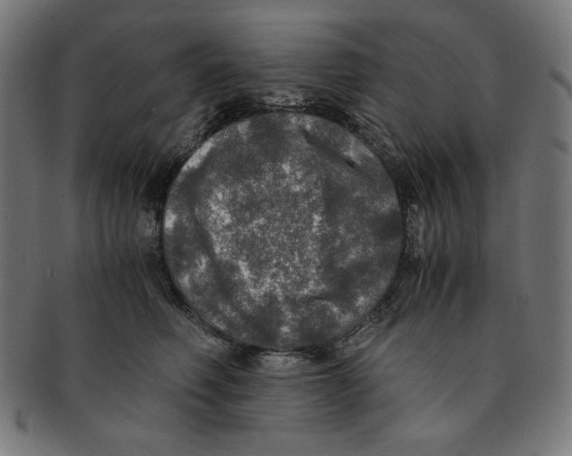 X0000091200614200709061414