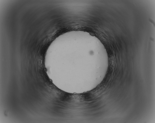 X0000091200615200709061414