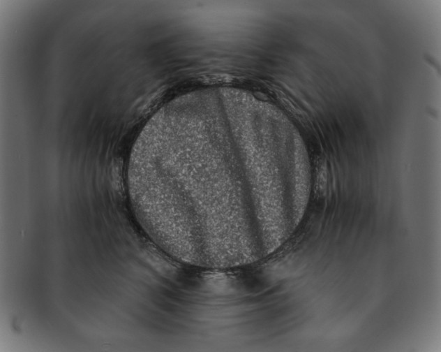 X0000091200616200709061414