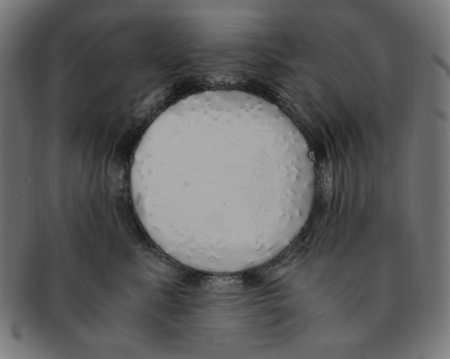 X0000091200619200709061414