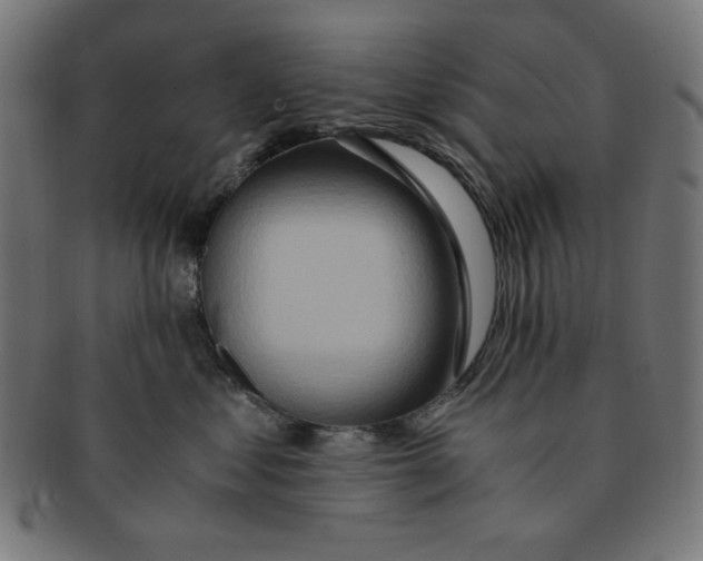 X0000091200621200709061414
