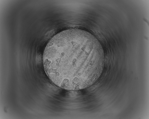 X0000091200623200709061414