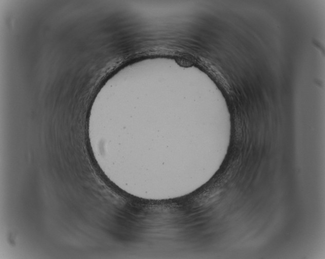 X0000091200625200709061414