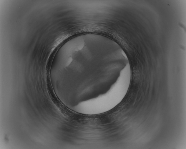 X0000091200626200709061414