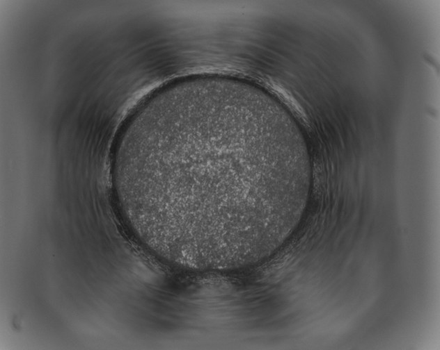 X0000091200628200709061414