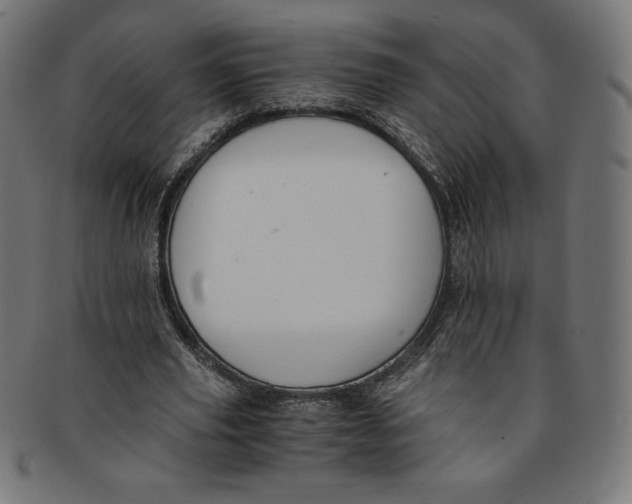 X0000091200629200709061414