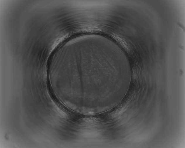 X0000091200630200709061414