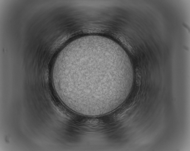 X0000091200631200709061414