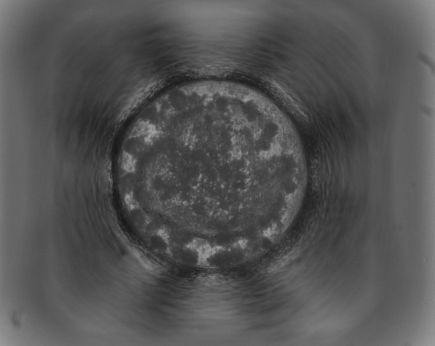 X0000091200634200709061414