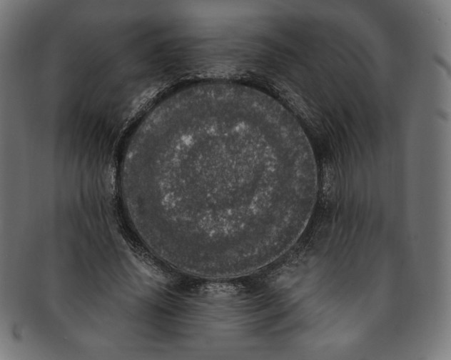 X0000091200636200709061414