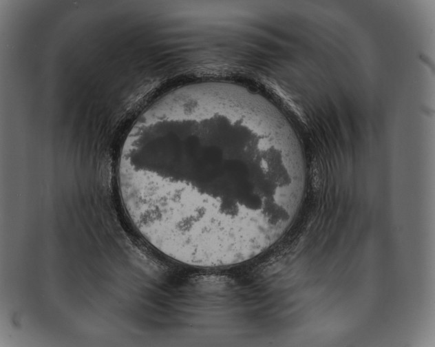 X0000091200637200709061414