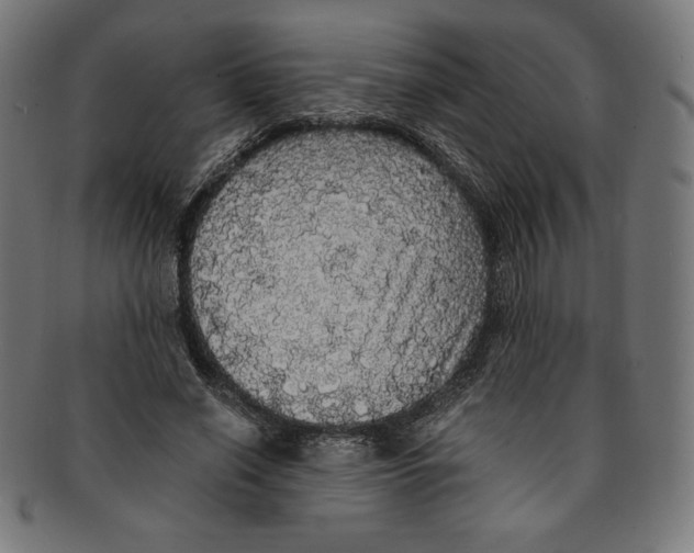X0000091200638200709061414