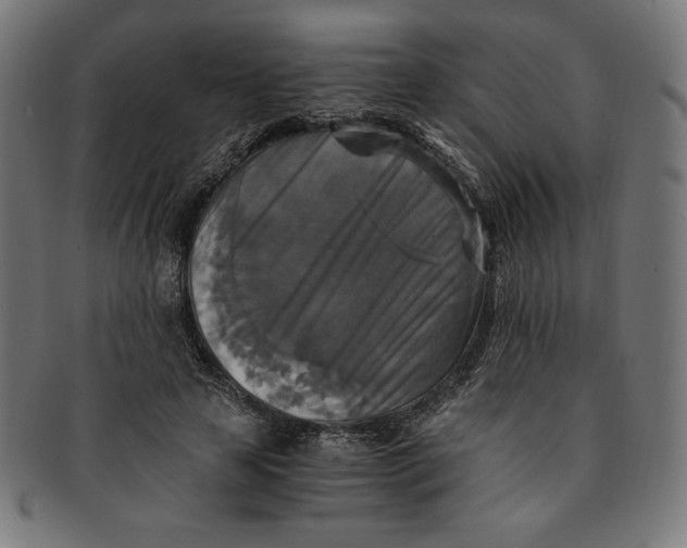 X0000091200641200709061414