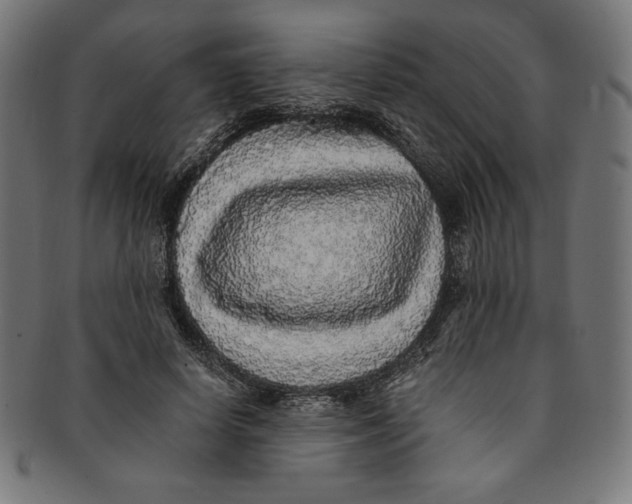 X0000091200642200709061414