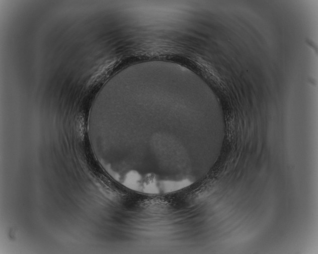 X0000091200644200709061414