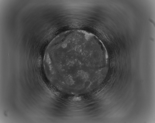X0000091200647200709061414