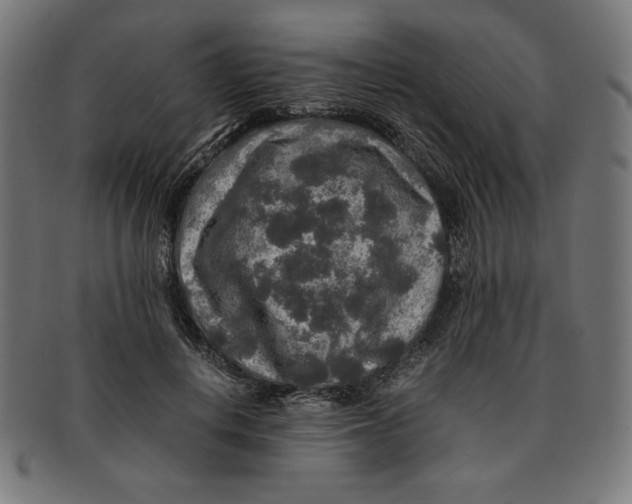 X0000091200648200709061414