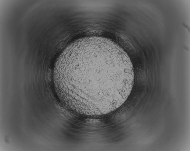 X0000091200649200709061414