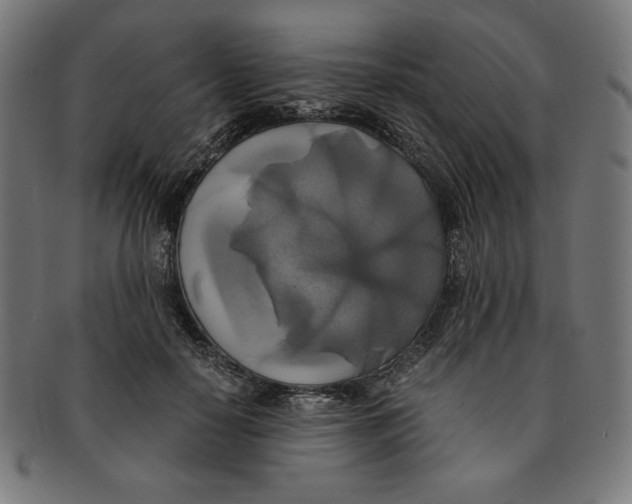 X0000091200650200709061414