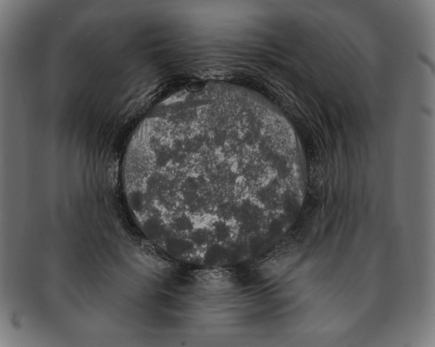 X0000091200652200709061414