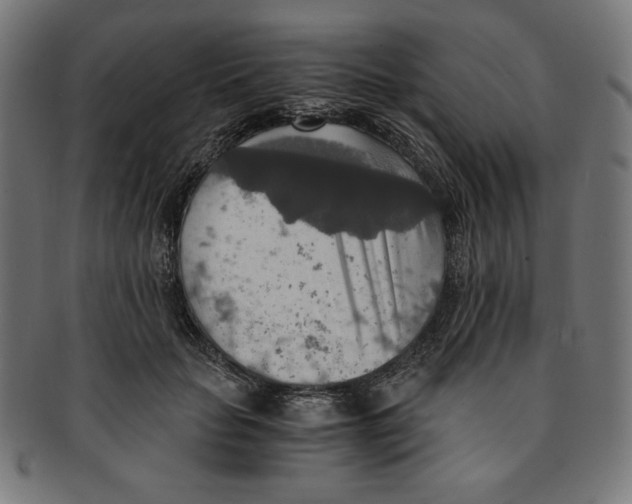 X0000091200653200709061414