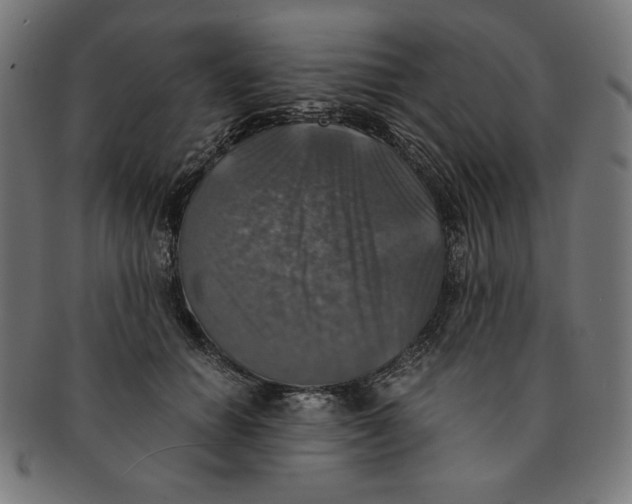 X0000091200654200709061414