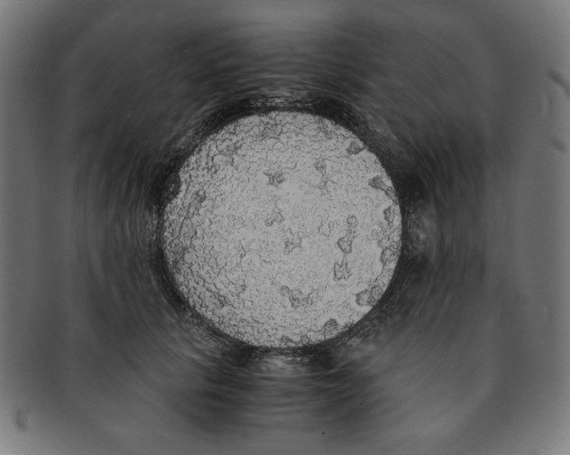 X0000091200657200709061414