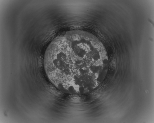 X0000091200658200709061414
