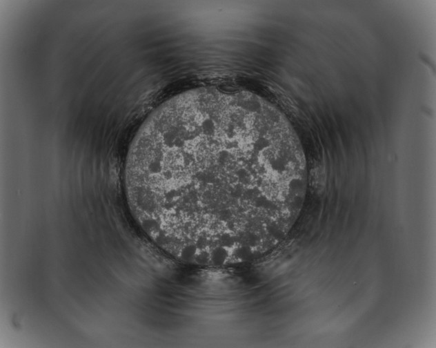 X0000091200662200709061414