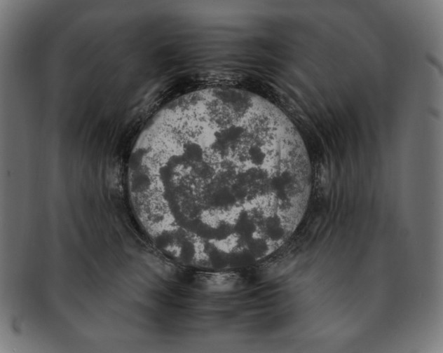 X0000091200663200709061414