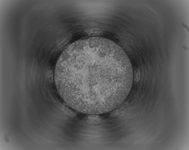 X0000091200666200709061414