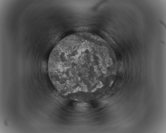 X0000091200669200709061414