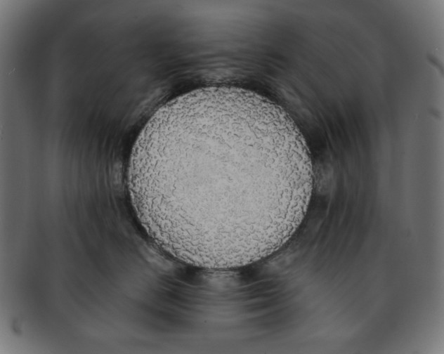 X0000091200670200709061414