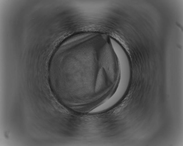 X0000091200673200709061414