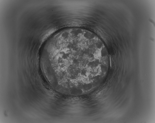 X0000091200675200709061414