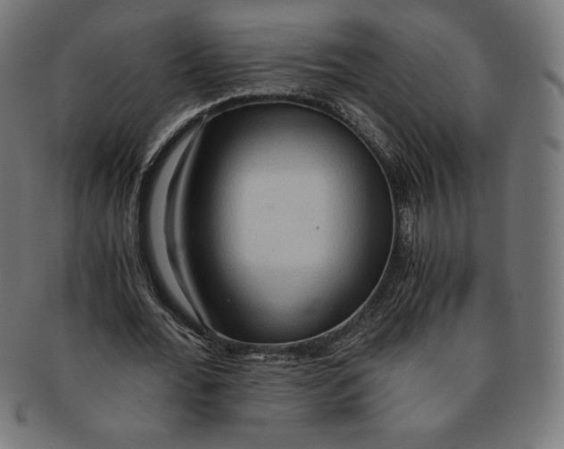 X0000091200676200709061414