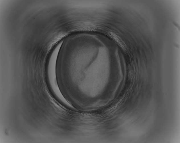 X0000091200677200709061414
